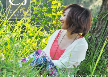 These Simple Notices